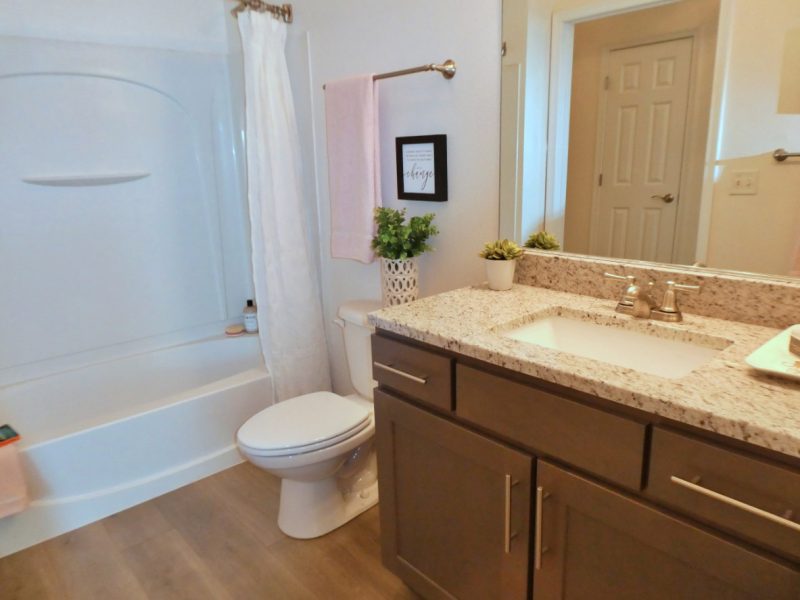 This image shows a contemporary bath that is spacious and accessible utility. It has quartz countertops, wooden-style tile floors, and tub surrounds.