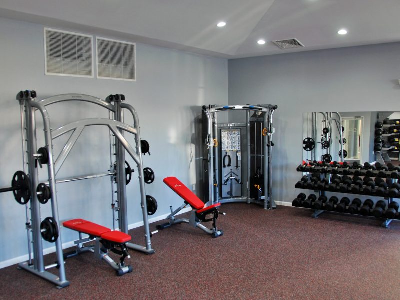 This image shows TGM Ridge fitness gym equipment featuring the standard Dumb Bells. It helps to balance strength since they provide an equal load to both sides of the body.