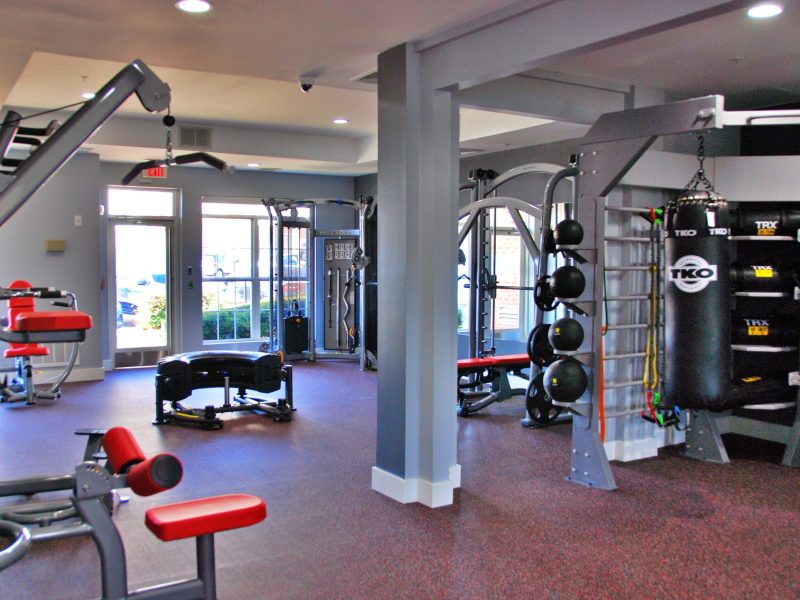 This image shows TGM Ridge fitness gym equipment featuring the different standard types of equipment like bench press, dumbbells, punching bag, and more.