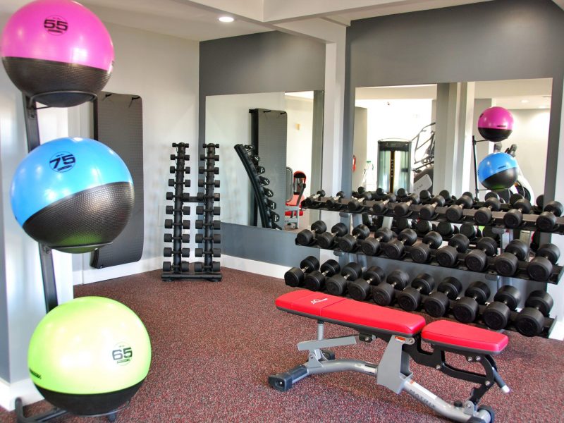 This image shows TGM Ridge fitness gym equipment featuring the standard Dumb Bells and Bench Press equipment.